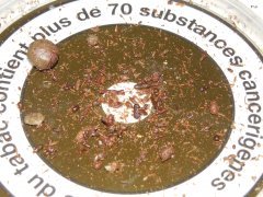 Finger Hash Dead Prez