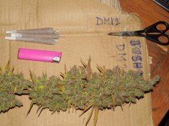 Diesel moonshine de pere inconnu #2