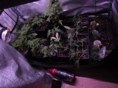 IMG_1492.JPG