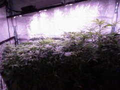 IMG_1498.JPG