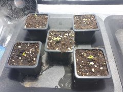 Resized_20190123_193638_2061.jpg