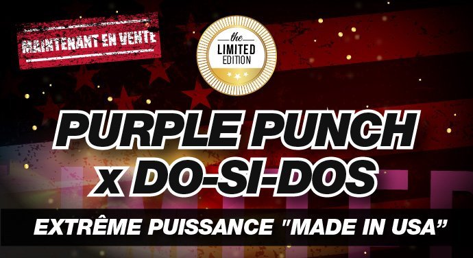 web-purple-dos-fr.jpg