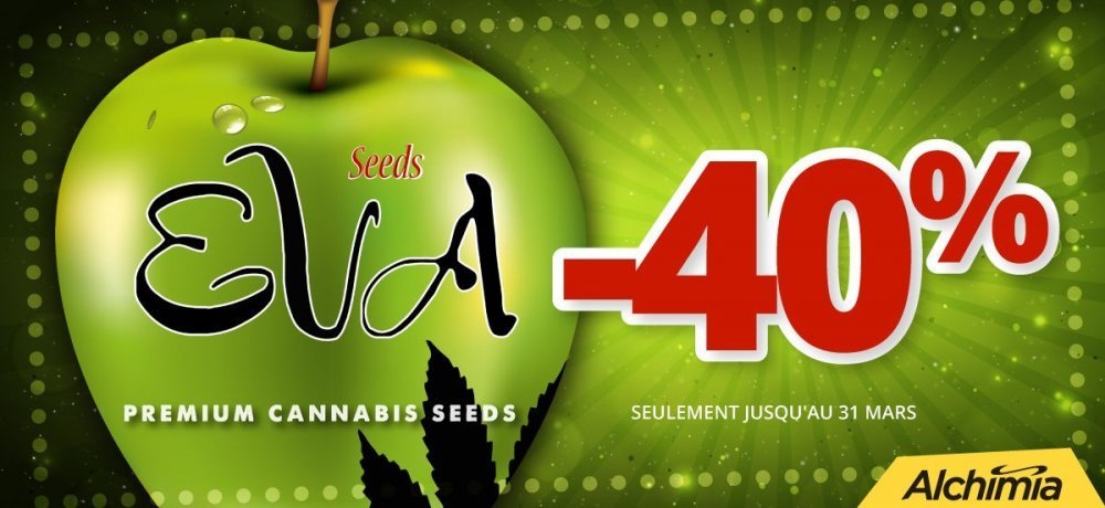 1200px-evaseeds-fr.jpg