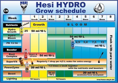 hesi 02.jpg