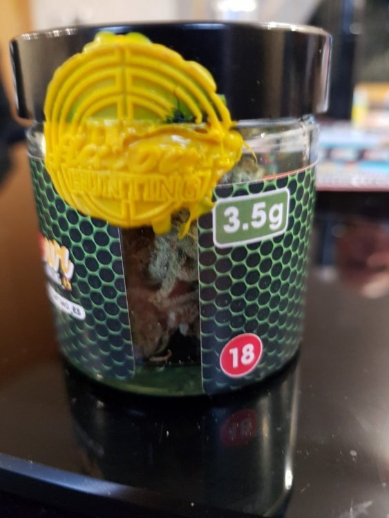 20190316_185610 (Large).jpg