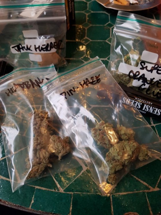 20190313_165404 (Large).jpg