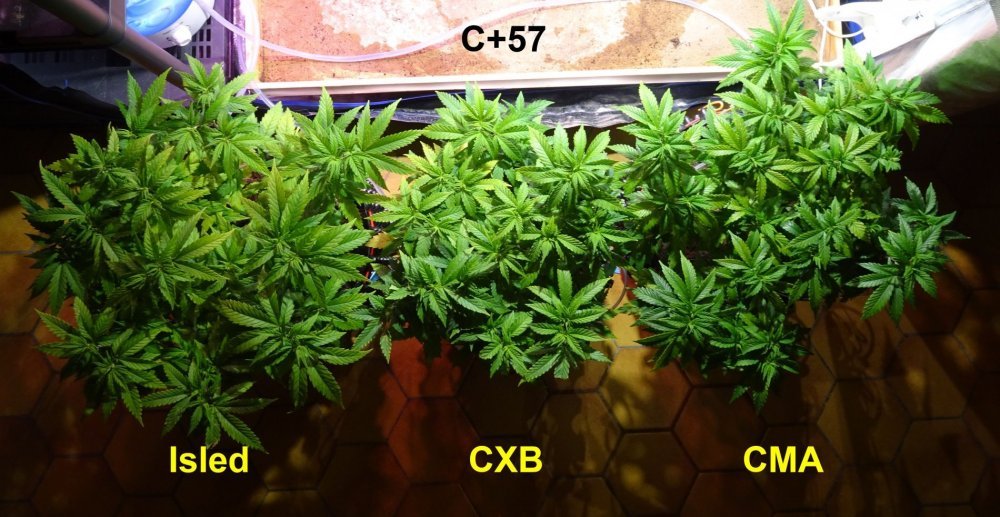 Comparatif C+57 - Copie.jpg