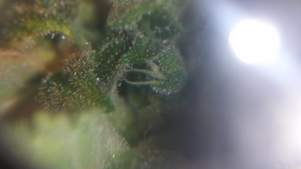 20190316_175815.jpg