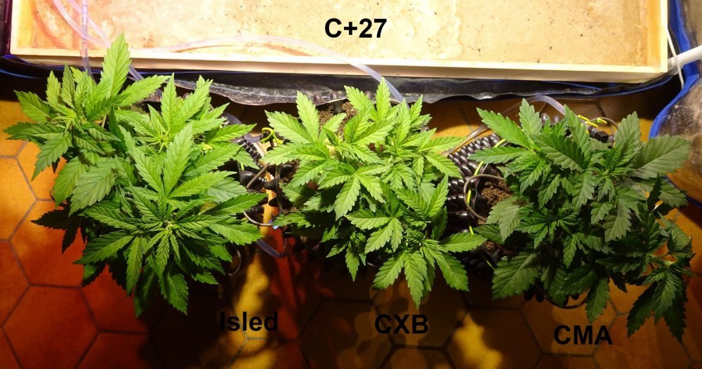 Comparatif C+27 - Copie.jpg