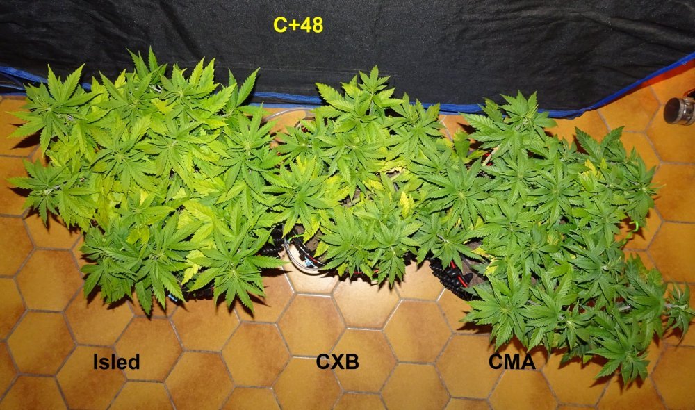Comparatif_C+48_-_Copie.JPG
