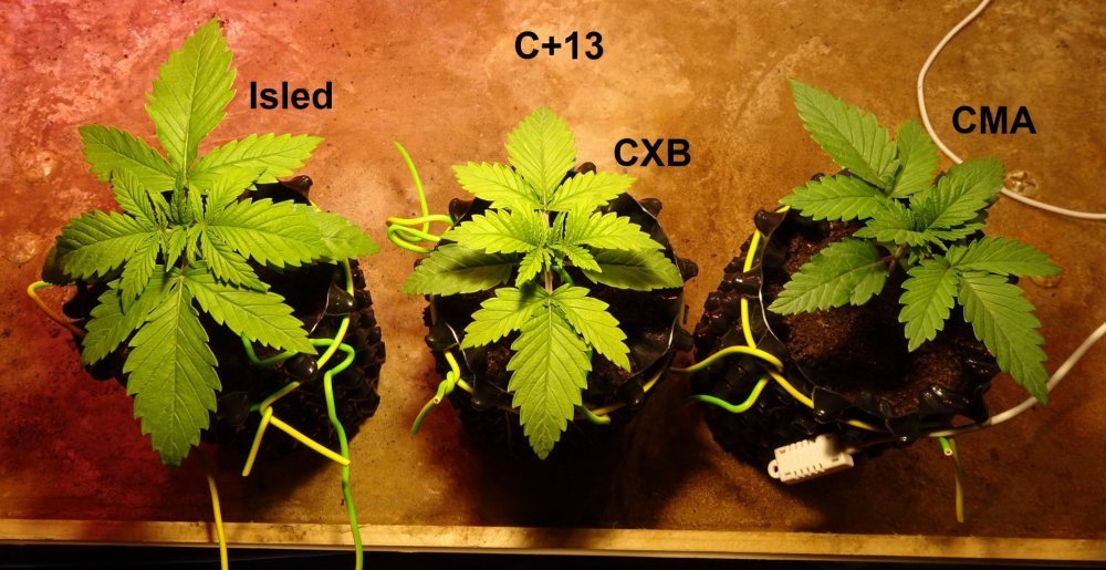 Comparatif C+13 - Copie.jpg