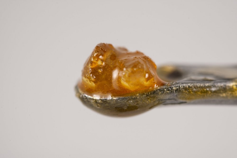 DSC_6123_1.jpg