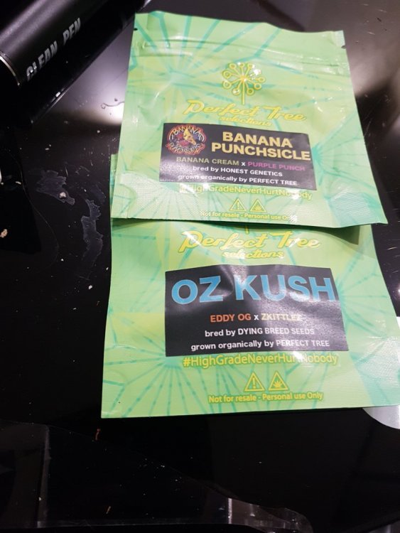 JPEG_20190315_215401.jpg