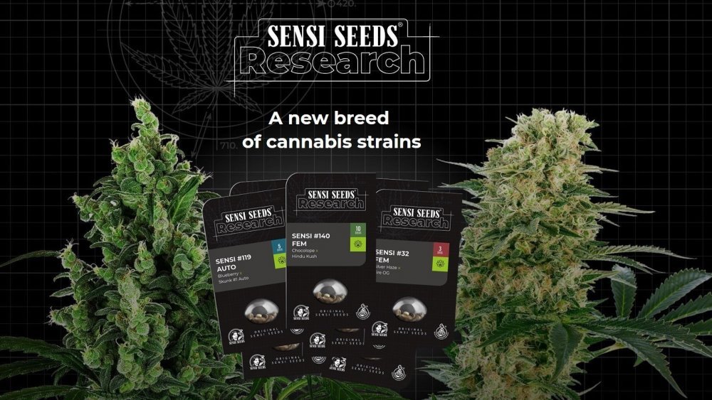SensiSeedsResearch_header.jpg