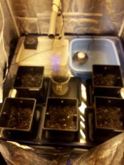 instal pot.jpg