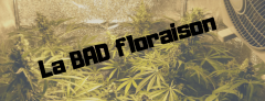 20190305_000710_0001.png