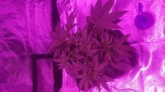 20190310_174020