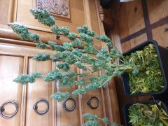 20190330_162707.jpg