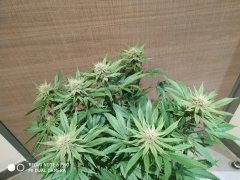 IMG_20190311_203057.jpg