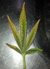 00