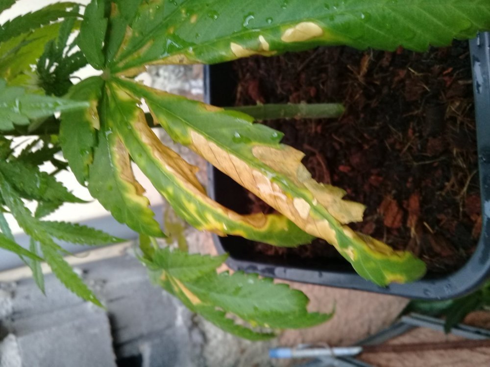 20190415_170912.jpg