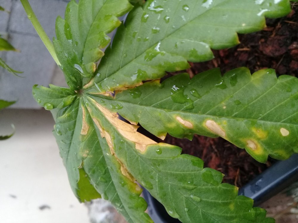 20190415_170923.jpg