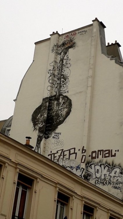 20190423_144042.jpg
