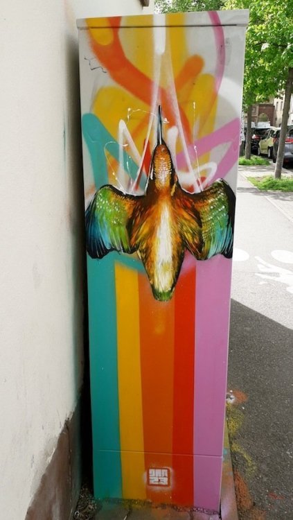 20190424_121801.jpg