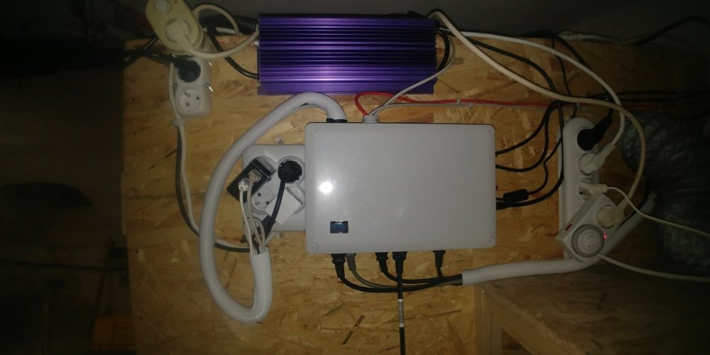 20190428_224601.jpg