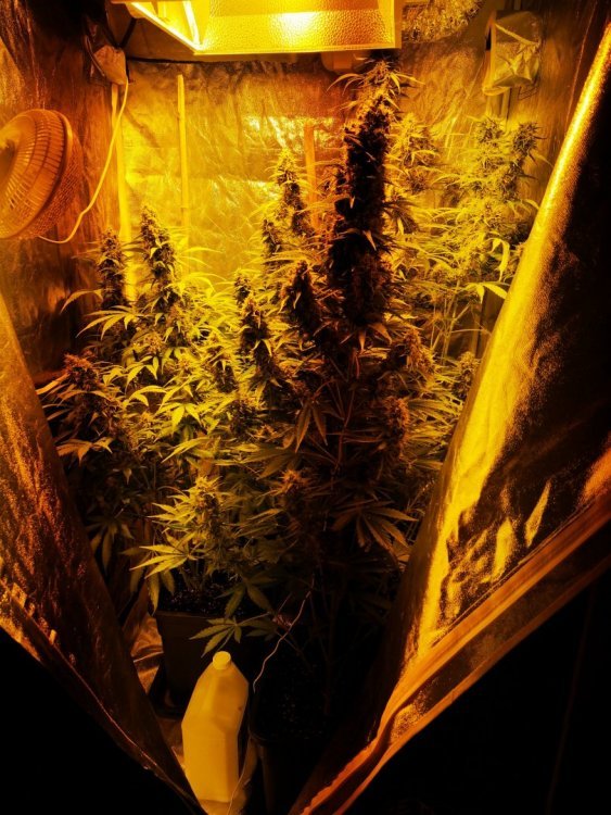 IMG_20190412_110305.jpg