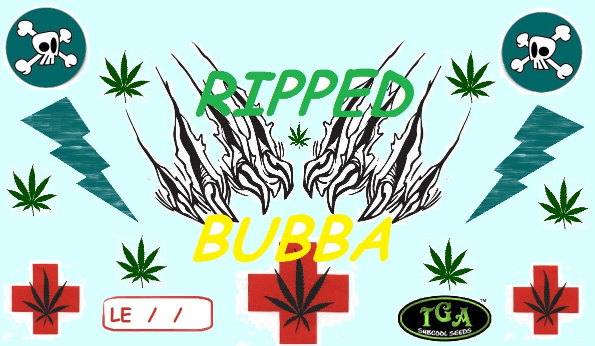 RIPPEDBUBBA.jpg