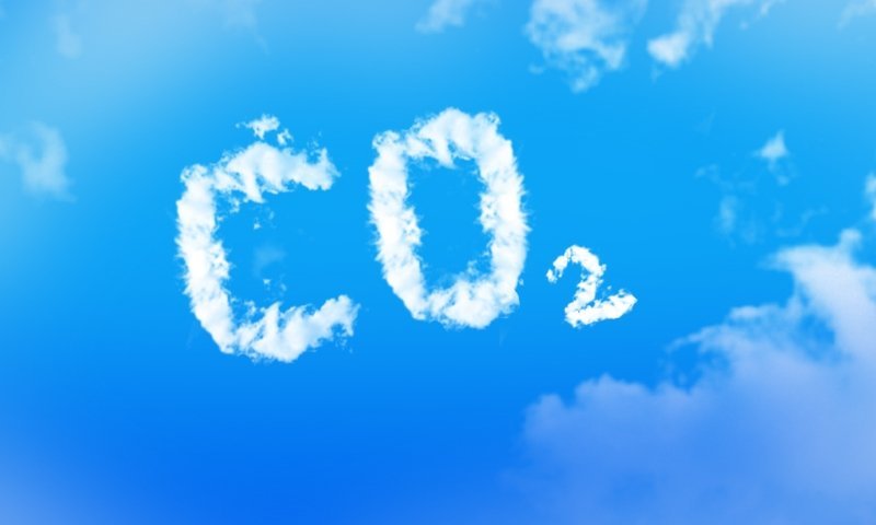 Le CO2: son effet sur les végétaux...et comment l'utiliser en indoor