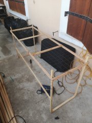 scrog fini.jpg