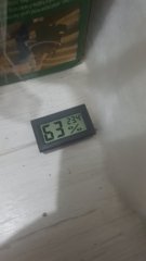 20190402_212927.jpg