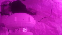 20190402_213619.jpg