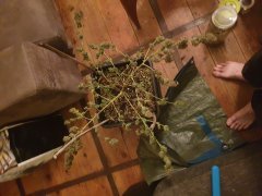 20190420_000238.jpg