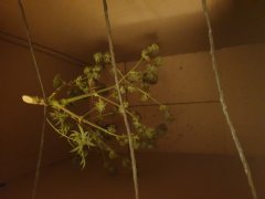 20190420_000507.jpg