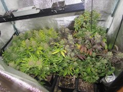 IMG_1842.JPG