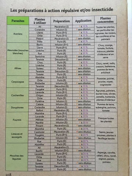 1447289730_ThomasAlamyditionOuest-France-lesjardifiches3.thumb.jpg.5fdf58ca484af343957b7f30bfa8063b.jpg
