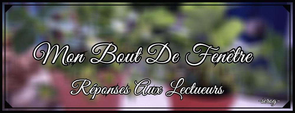 mon bout de fenêtre Réponses.jpg