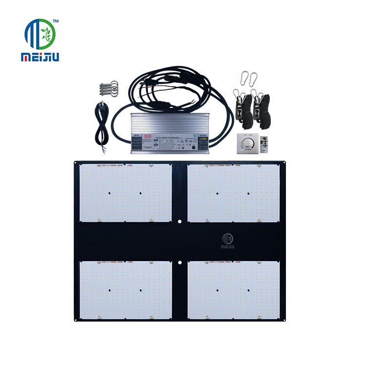 FoMex-V3-480H-4.jpg.8a1600d688ecfc7d2d579266116abfc5.jpg