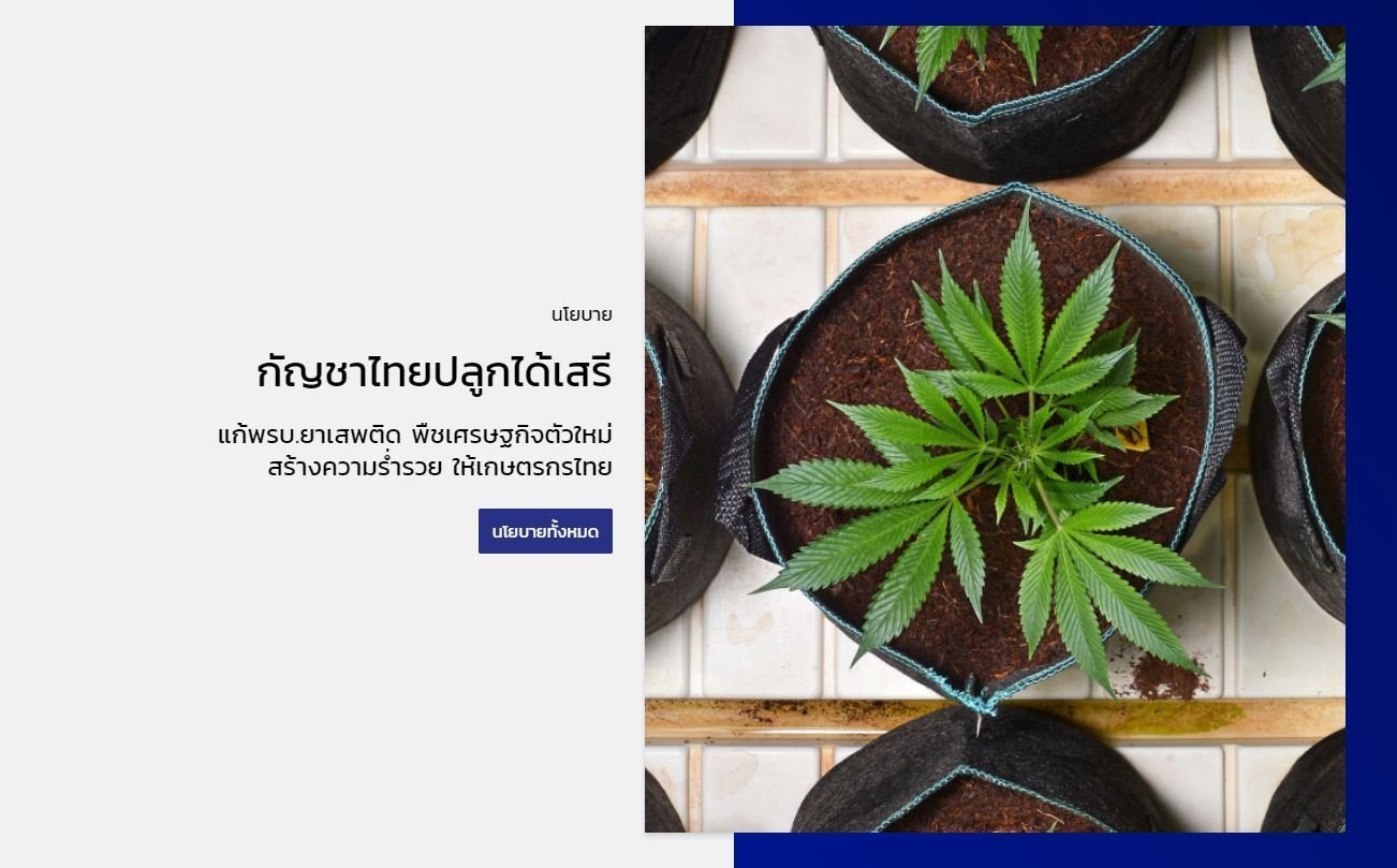 Cannabis thérapeutique : la Thaïlande précurseure de l’Asean