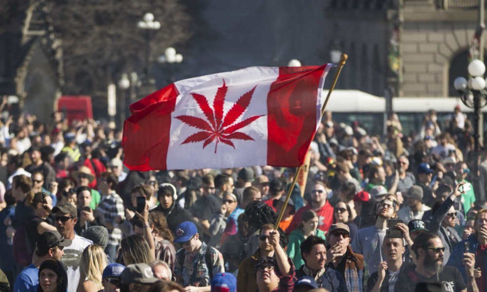 Six mois après la légalisation du cannabis au Canada, pas plus de conducteurs drogués au volant