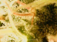 190511_182045_cleaned.jpg