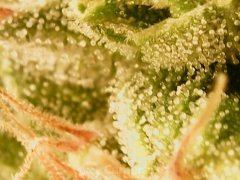 190511_182104_cleaned.jpg