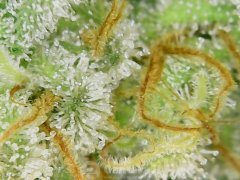 190511_182347_cleaned.jpg