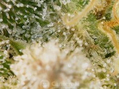 190511_182412_cleaned.jpg