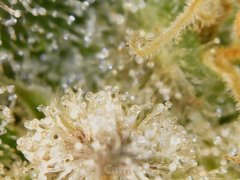 190511_182415_cleaned.jpg
