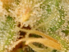 190511_182519_cleaned.jpg