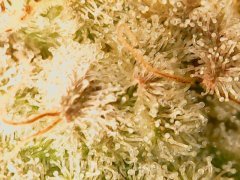 190518_212452_cleaned.jpg